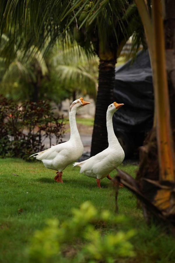 The Kerala Village, Shahapur Shenwa Extérieur photo